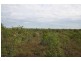 125 Hall Road, Katherine NT 0850