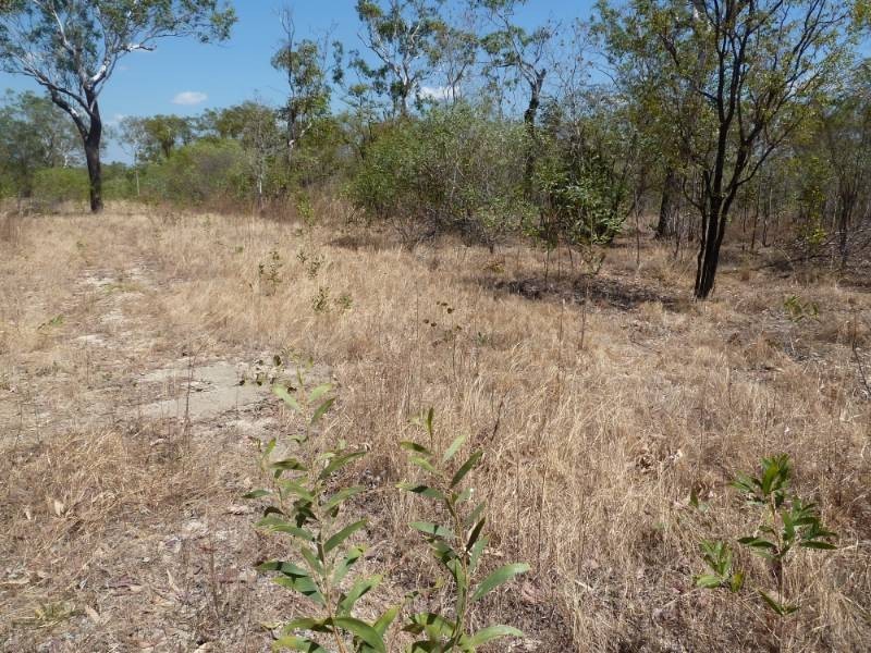 38 Rutherven Road, Katherine NT 0850