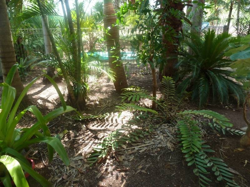 29 Donegan Crescent, Katherine NT 0850