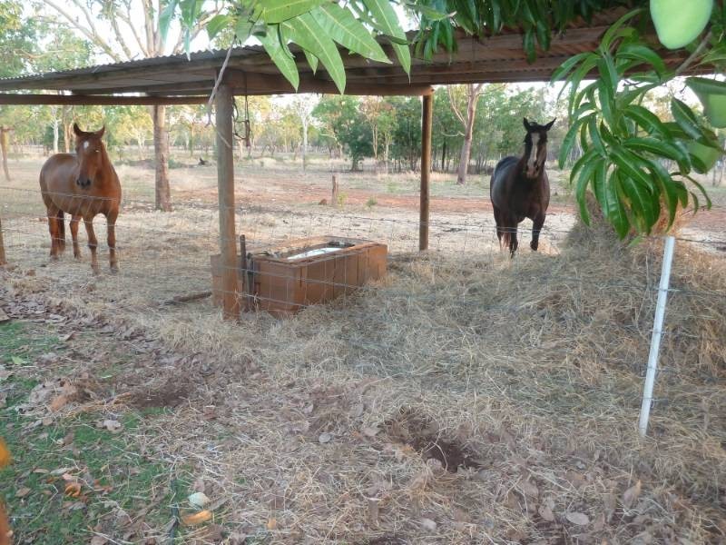 15 Kingston Road (Cnr Helena Rd), Katherine NT 0850