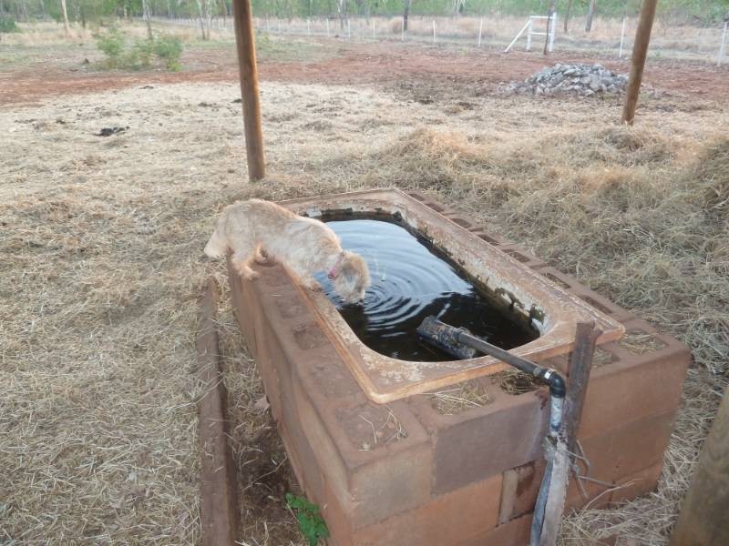 15 Kingston Road (Cnr Helena Rd), Katherine NT 0850