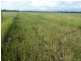 55 McAdam Road, Katherine NT 0850