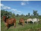 55 McAdam Road, Katherine NT 0850