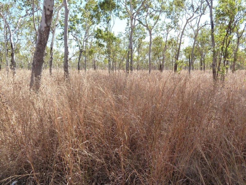 1259 Edith Farms Road, Katherine NT 0850