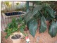 73 Giles Street, Katherine NT 0850