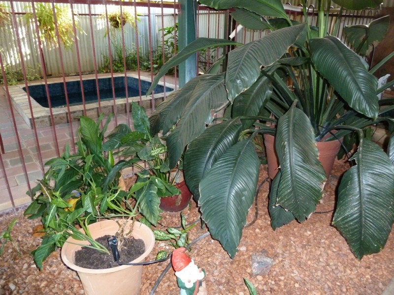 73 Giles Street, Katherine NT 0850