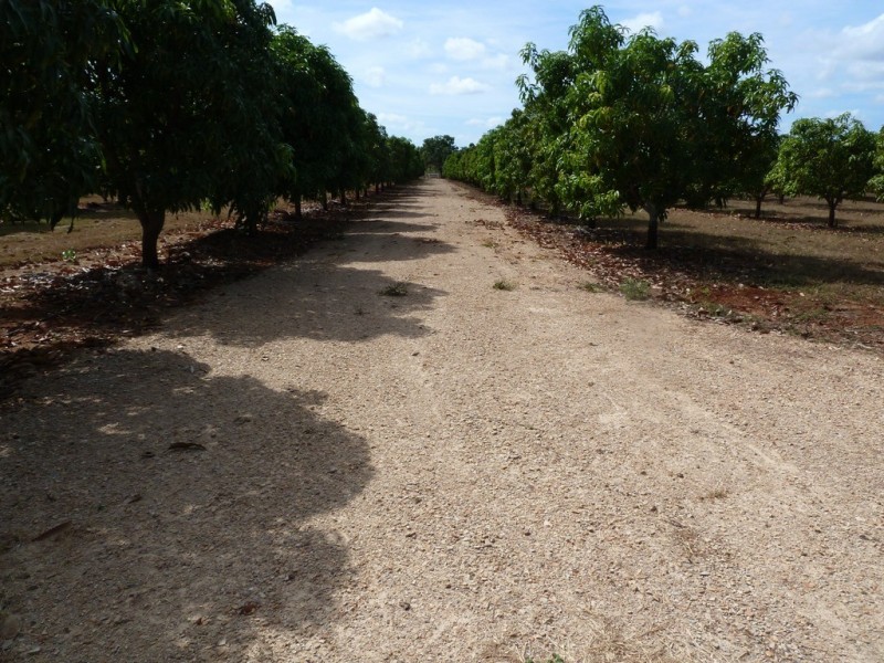 120 Cummings Road, Katherine NT 0850