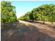 406 Zimin Drive, Katherine NT 0850