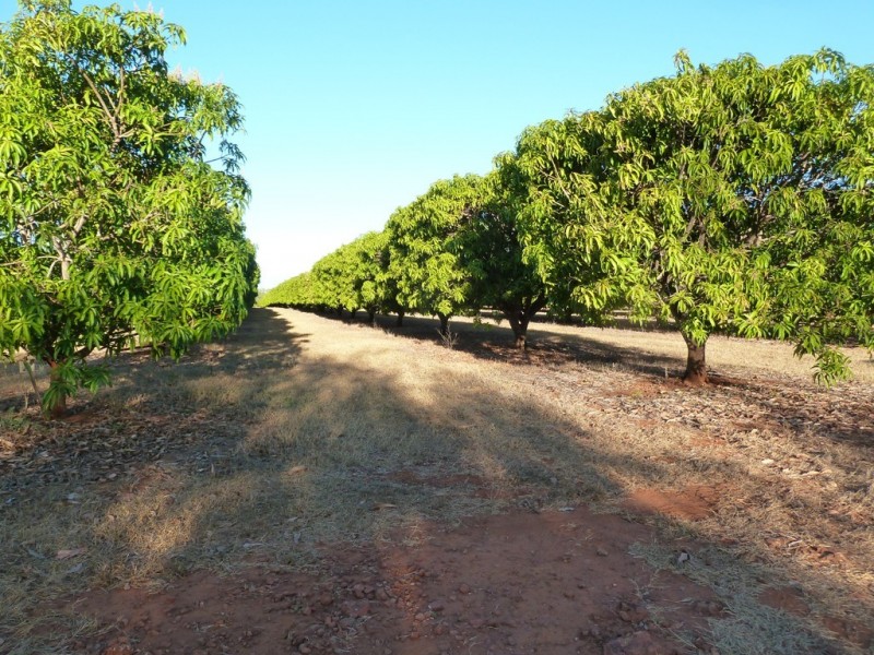 406 Zimin Drive, Katherine NT 0850