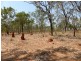 175 Napier Road, Katherine NT 0850