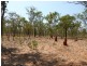 175 Napier Road, Katherine NT 0850