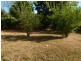 6 Shaw Street, Katherine NT 0850