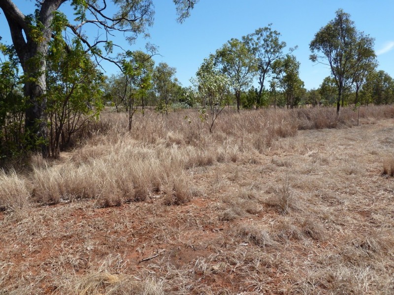 15 Kingston Road, Katherine NT 0850