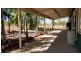 50 Woollybutt Drive, Katherine NT 0850