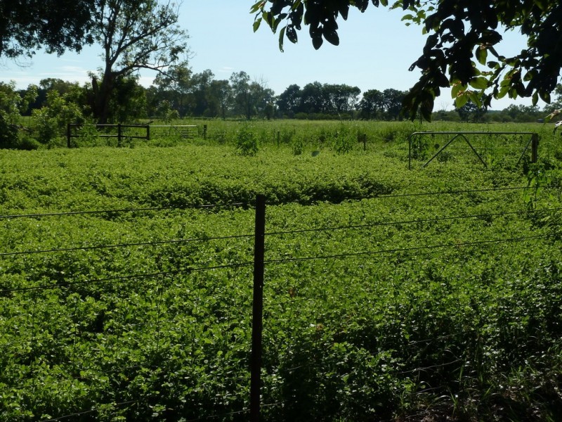 649 Gorge Rd, Katherine NT 0850