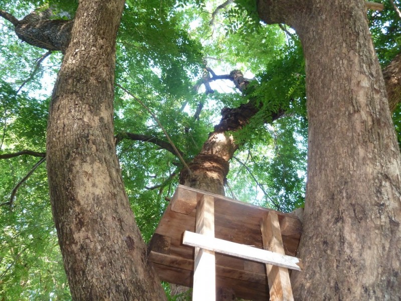 649 Gorge Rd, Katherine NT 0850