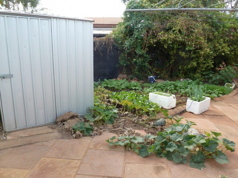 1 Ixora Court, Katherine NT 0850
