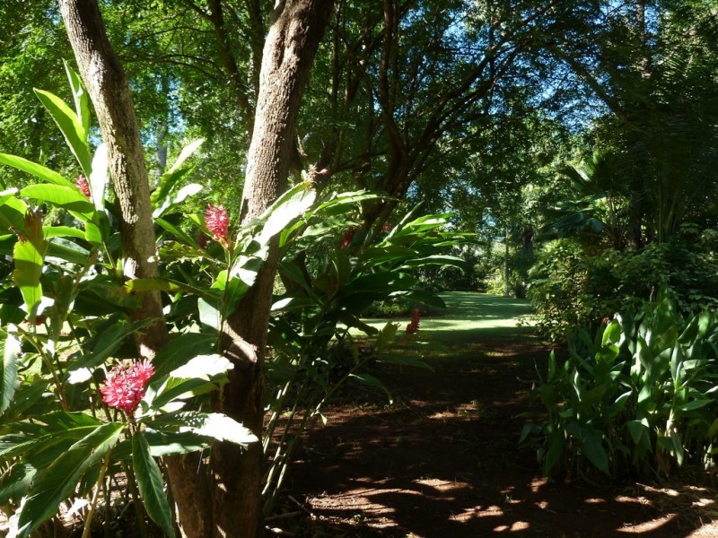 81 Mahony Road, Stuart Estate, Katherine NT 0850