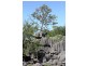 119 Hall Road, Katherine NT 0850