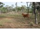 119 Hall Road, Katherine NT 0850