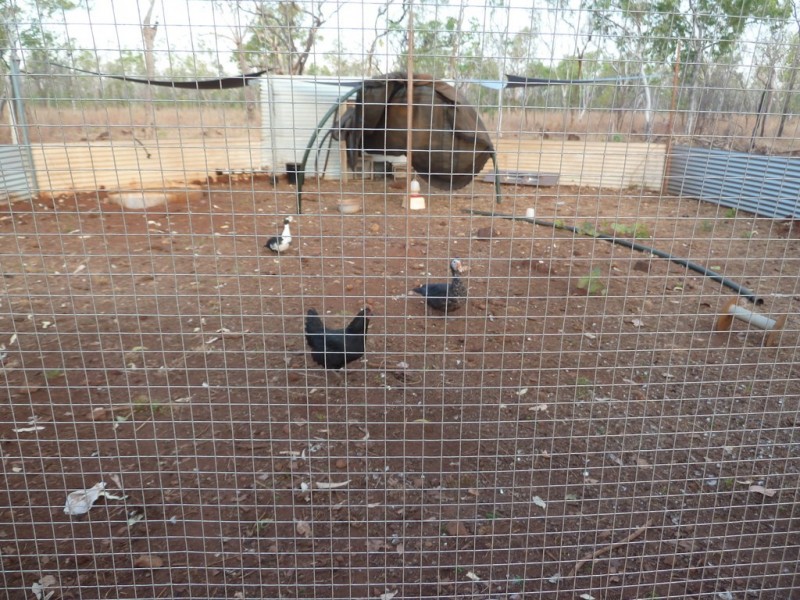 140 Niceforo Road, Lansdowne, Katherine NT 0850