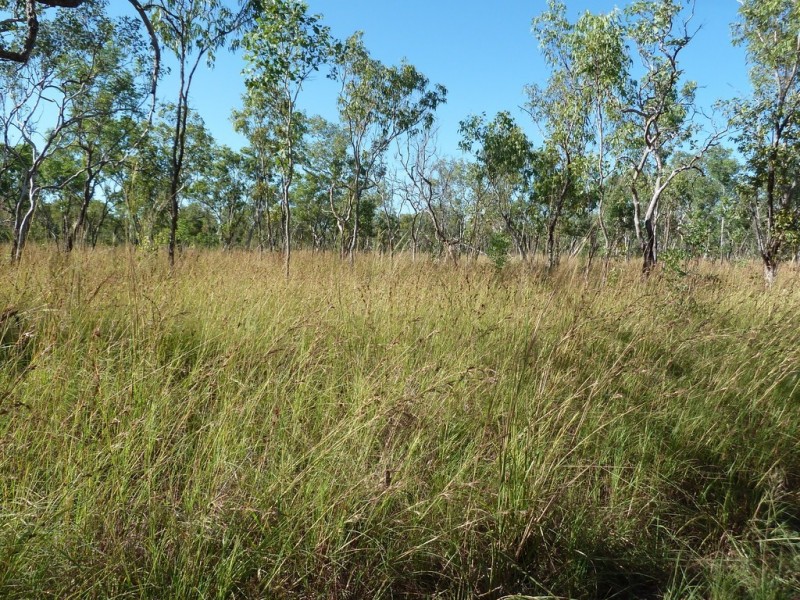 140 Niceforo Road, Lansdowne, Katherine NT 0850