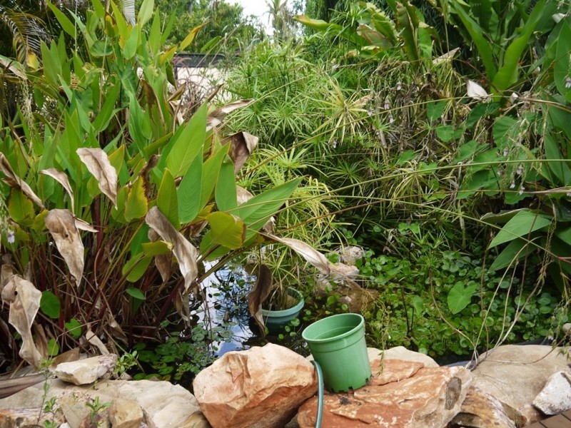 23 Raymond Place, Katherine NT 0850