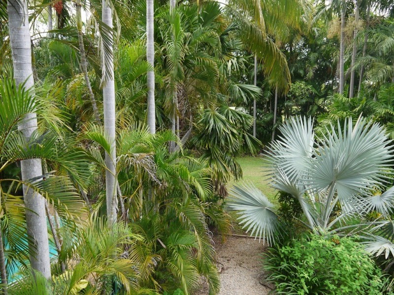 23 Raymond Place, Katherine NT 0850