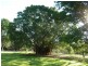 131 Gorge Road, Katherine NT 0850