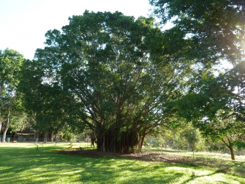 131 Gorge Road, Katherine NT 0850