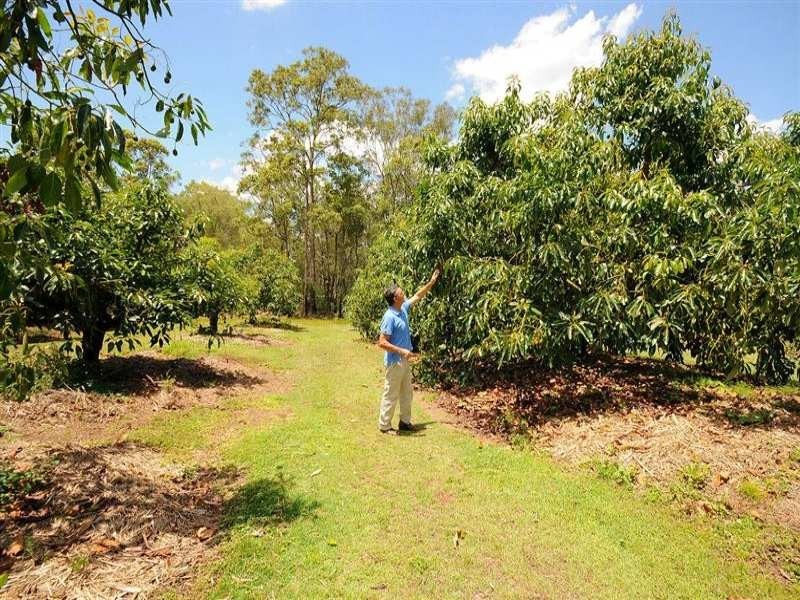 751 Teddington Road, Teddington QLD 4650