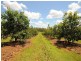 751 Teddington Road, Teddington QLD 4650