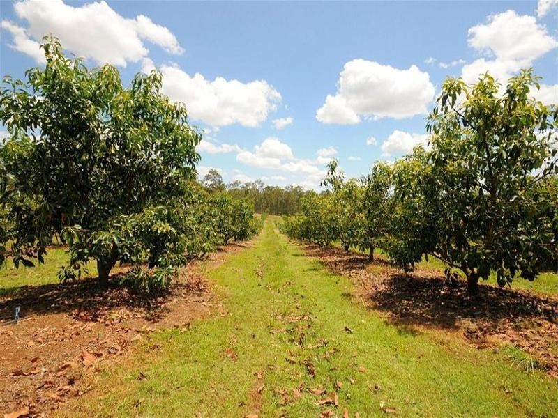 751 Teddington Road, Teddington QLD 4650