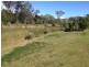 20 Spinnaker Drive, Point Vernon QLD 4655