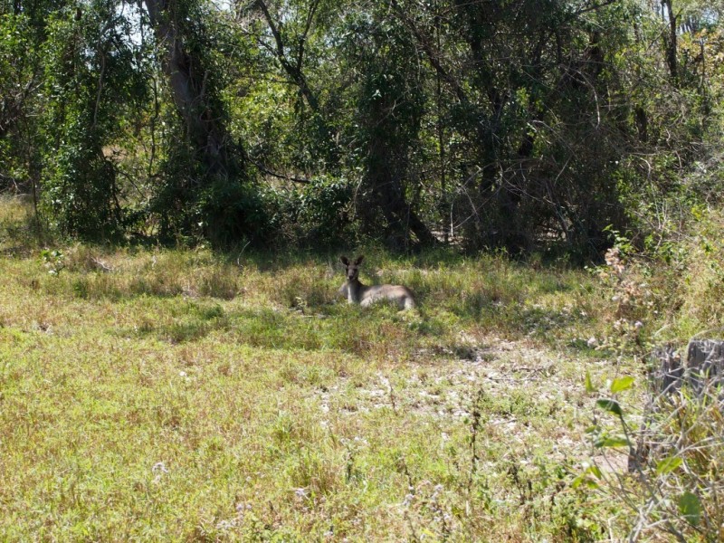 2 – 18 Sewell Court, Booral QLD 4655