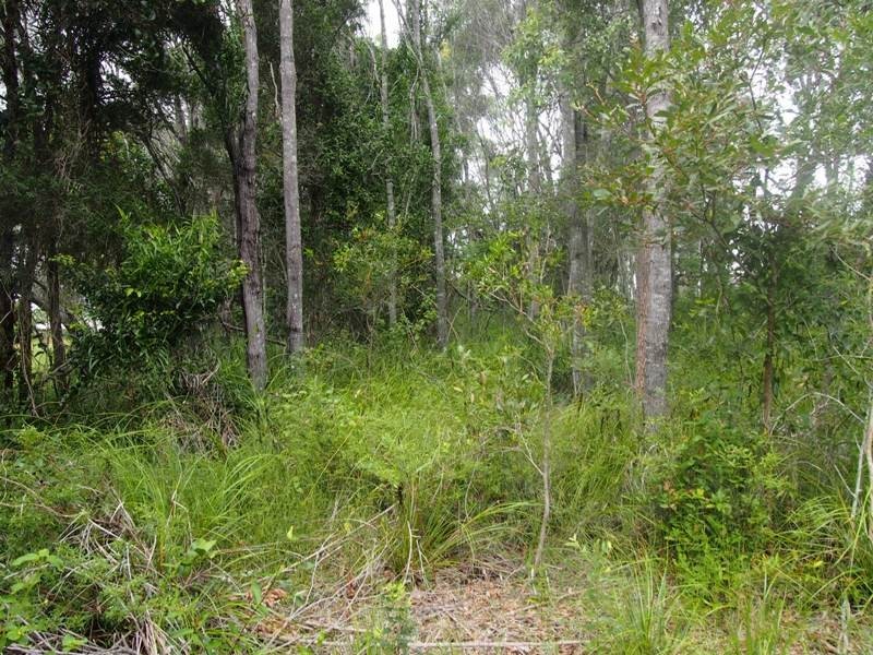 61 Mathiesen Road, Booral QLD 4655