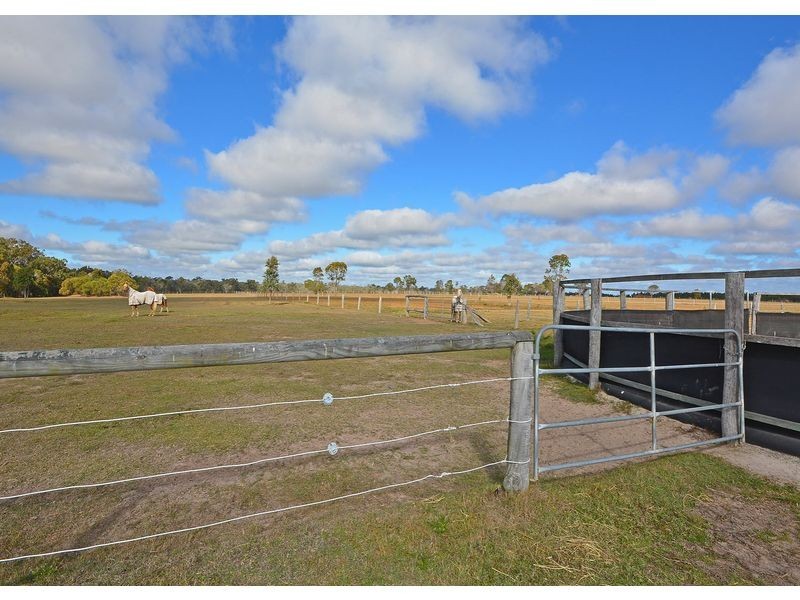 121 Curran Street, Bunya Creek QLD 4655