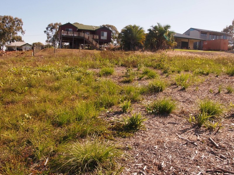 51 Turnstone Boulevard, River Heads QLD 4655