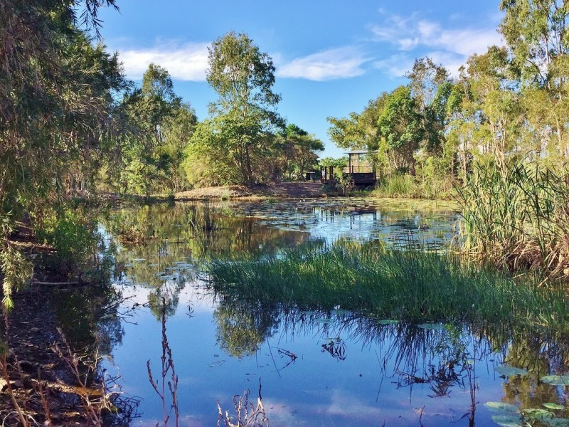 73 Parklands Boulevard, Wondunna QLD 4655