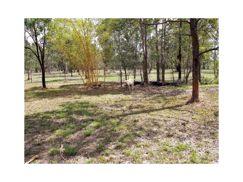 135 Old Coach Road, Oakhurst QLD 4650