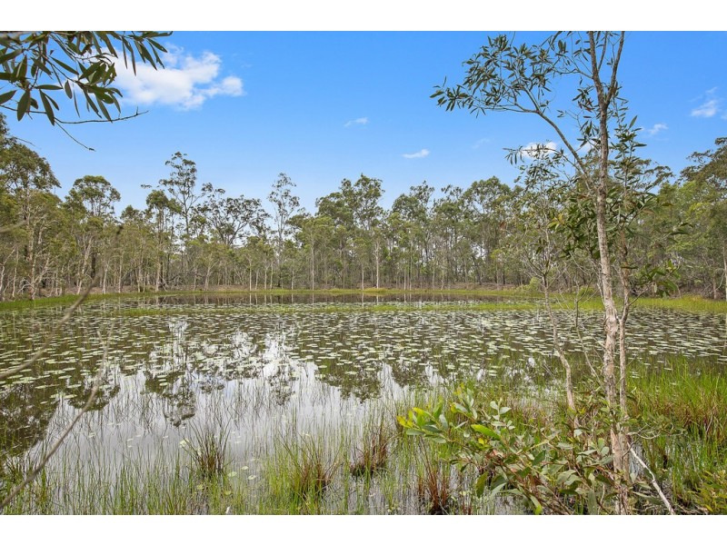 84 Sunnyside Drive, Susan River QLD 4655