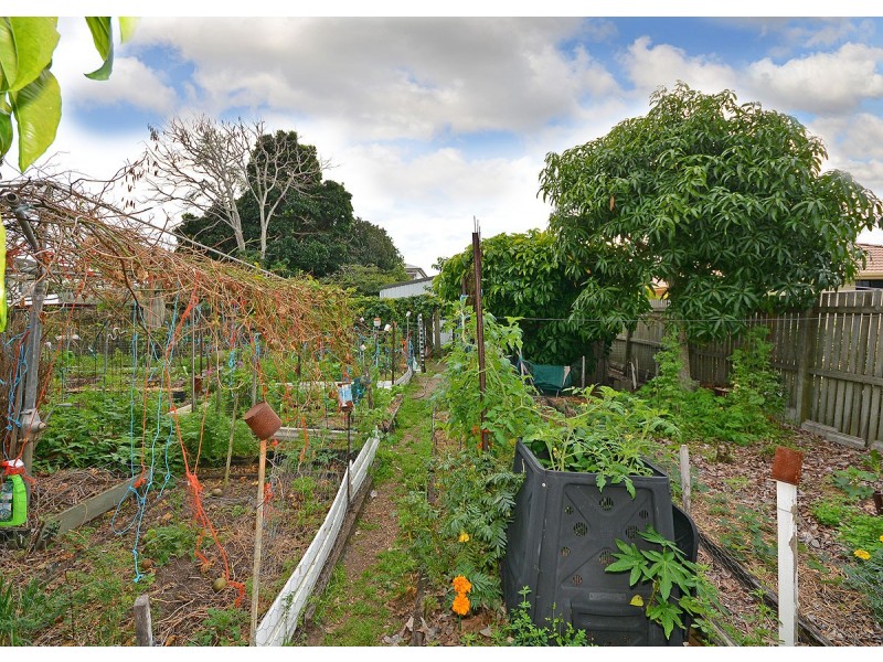 6 Edwin Street, Urangan QLD 4655