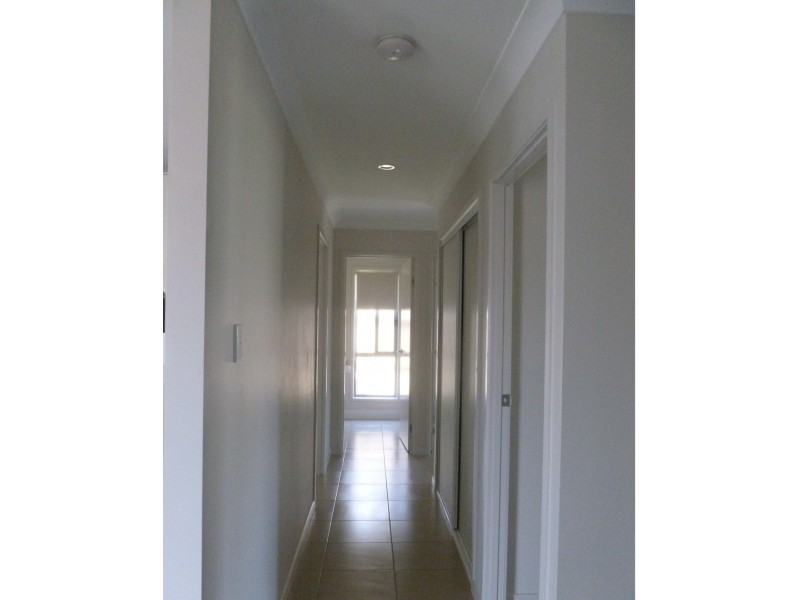 8 Parame Court, Nikenbah QLD 4655