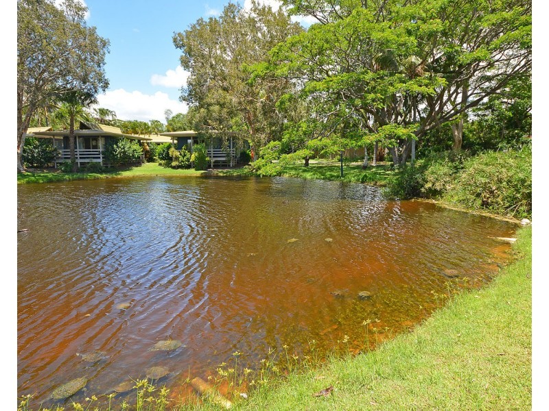 18/1 Shell Street, Urangan QLD 4655