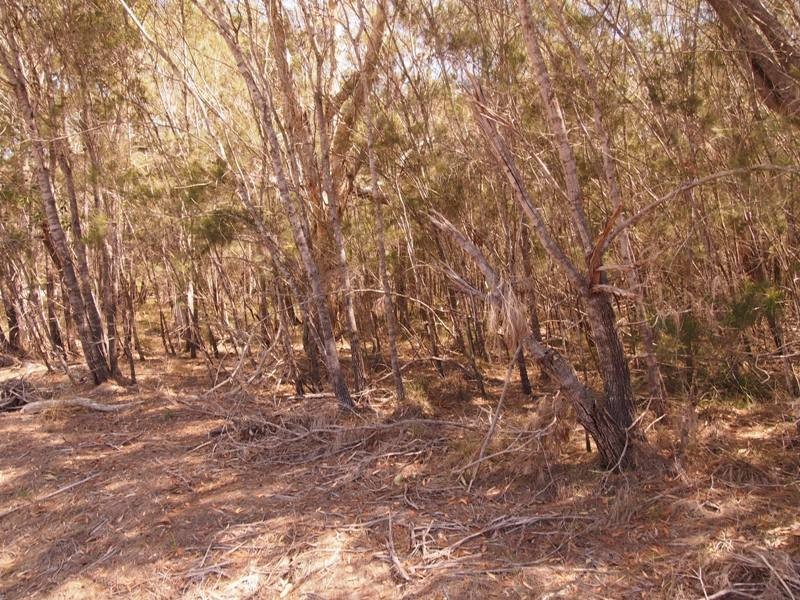 38 Ti Tree Rd East, Booral QLD 4655