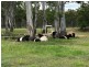 12 Burrum River Road, Torbanlea QLD 4662