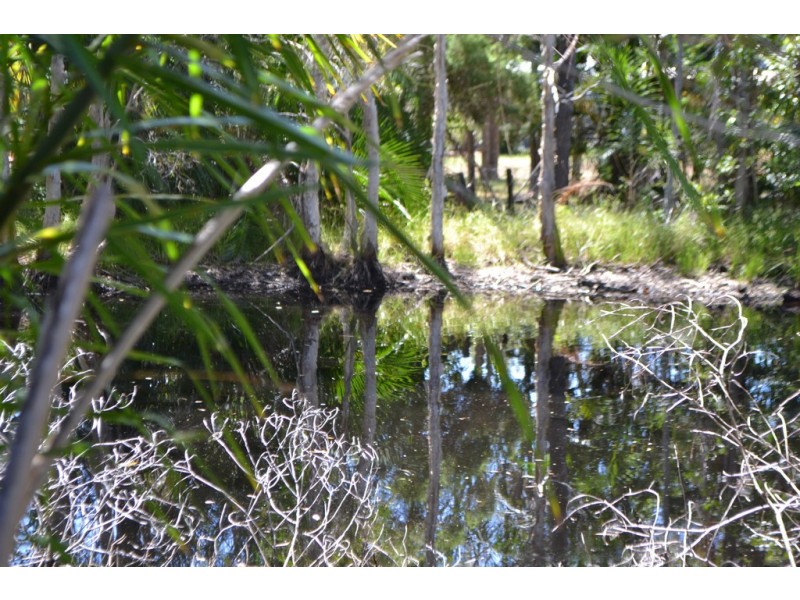 19 Wellington Crescent, Wondunna QLD 4655