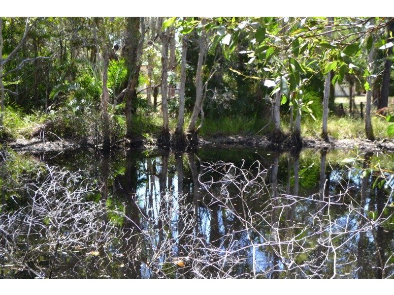 19 Wellington Crescent, Wondunna QLD 4655