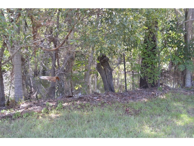 19 Wellington Crescent, Wondunna QLD 4655