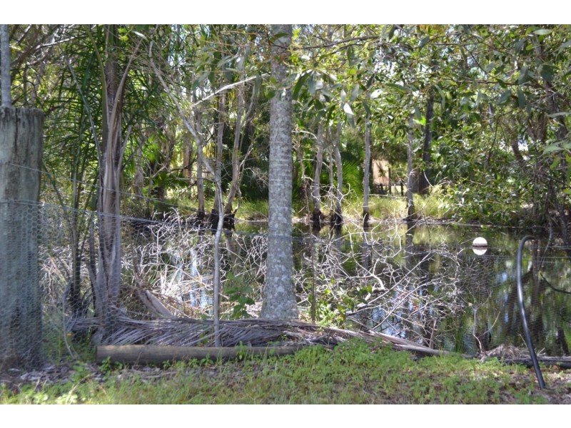 19 Wellington Crescent, Wondunna QLD 4655